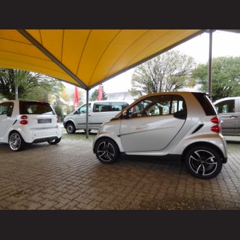 Smart 451 (silber)