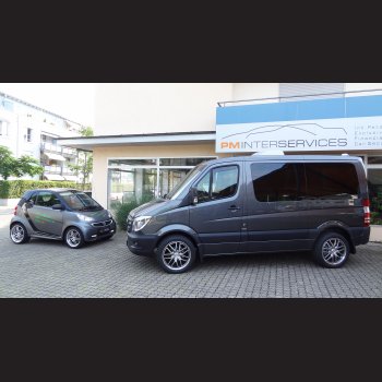 Mercedes Smart (grau)